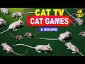 Catching mice entertainment for cats to watch  cat games  cat  dog tv