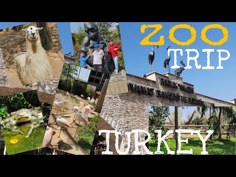 ZOO TRIP DARICA, TURKEY. Hayvanat Bahçesi gezisi DARICA.