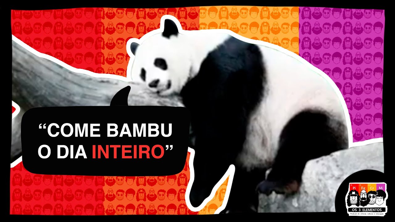 QUEM É O BICHO MAIS INÚTIL DA NATUREZA? | CORTE OS TRÊS ELEMENTOS