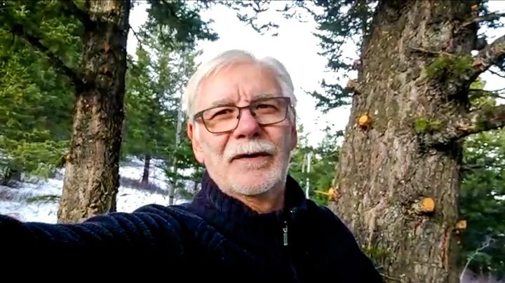 Daniel in Canada #2  | Snow and Ice: This is Winte...