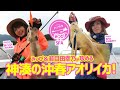 【釣り時季】みっぴ＆SFA若目田幸乃が攻める！神湊の沖春アオリイカ！(2019年6月16日放送）