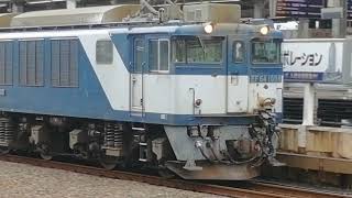 全面の塗装がやばい事になってるEF64 1008号機牽引名古屋タ発稲沢行2095レ名古屋通過