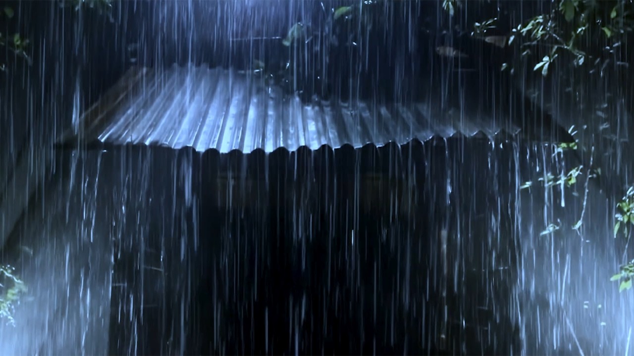 Sleep Calmly to Heavy Rain & Thunder Crashing on an Old Tin Roof in the Night Rainforest