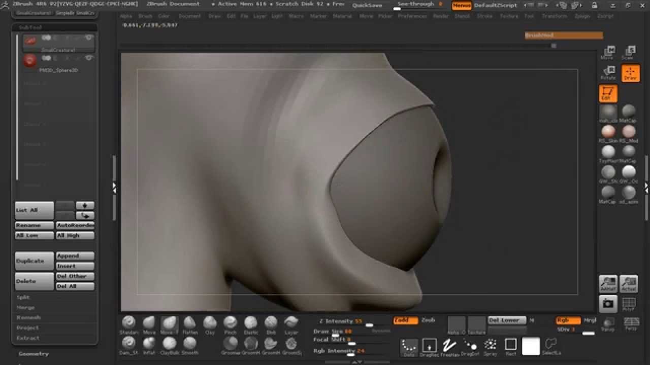 getting zbrush on another computer