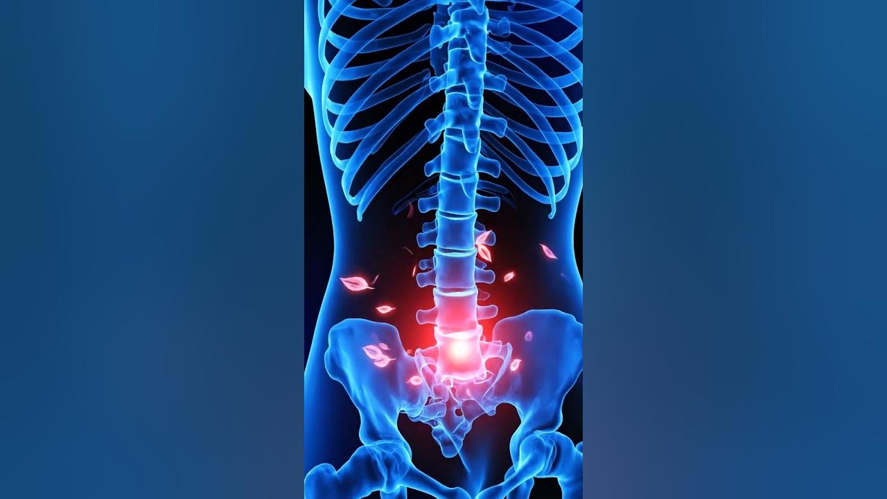 Human Body Part মানুষের শরীরের অংশ