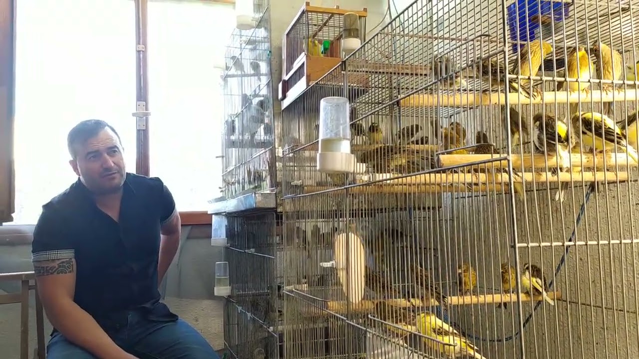 Celedonio y sus trucos!!!!