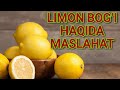 LIMON / ЛИМОН