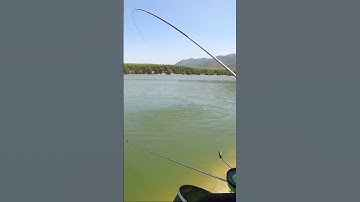 Lên hàng hồ Bộ Đội. nhìn lại đã quá #câucá #câuđài #fishing #câucábàrịa #bàrịa #cámè