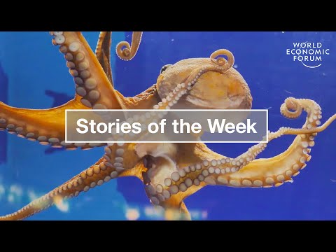 E Car Revolution Octopus Feelings Jelly Cubes Waitressing With Disability Stories Of The Week 