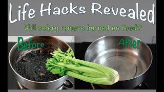 Whether you burn food occasionally or all the time to bottom of your
pans, there may be an easier way get them clean. find out if celery is
soluti...