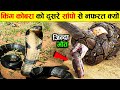 सांप कभी ऐसा करता दिखे तो तुरंत भाग जाना | Why Does King Cobra Hate Other Snakes