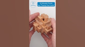 Skilltoyz IQ Wooden 3D Puzzle design 14 "Twenty Four Locks". No solution shown - spoiler-free.