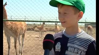 Переселенцы увидели краснокнижных животных Переселенцы увидели краснокнижных животных