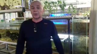 видео: Изготовление узв для раков АККР, www.CoralFish.ru тел. +79219079739. картинка: Изготовление узв для раков АККР, www.CoralFish.ru тел. +79219079739.