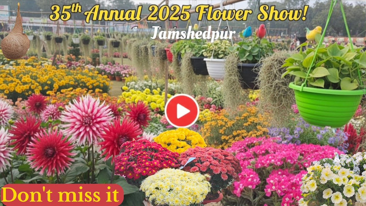 Jamshedpur FLOWER Show 2025 🌺35th Annual Flower Show, Jamshedpur I Nature • Flowers • Joy 