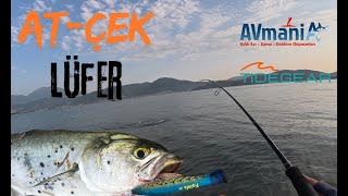 Lüfer Var Hemde Her Zaman Yine Boş Geçmedik. Fethiye Balık Avı. Ikavı Üferavı