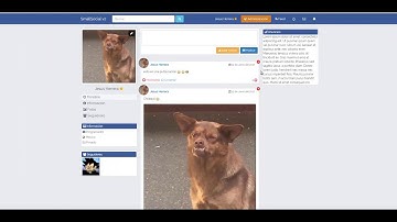 Small Social v2 - La Red Social Hecha en PHP y MySQL