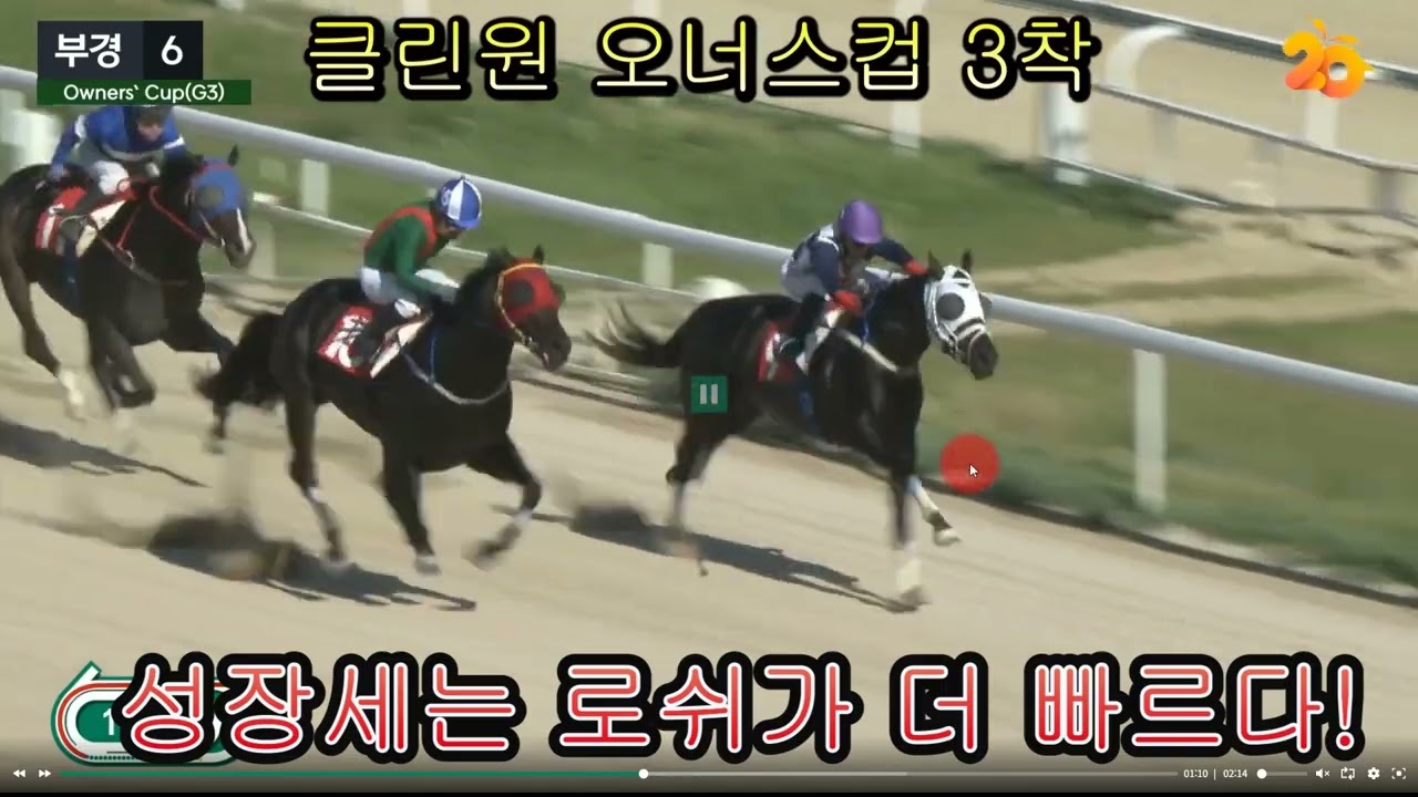 로쉬 VS 클린원 붙으면 누가 이김? (전력 분석과 예측)