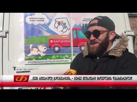 ,,ჩვენ სიყვარული გადაგვარჩენს,, - ტურნე მიუსაფარი ცხოველების დასახმარებლად