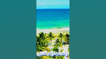 سورة التوبة و،،كا،.نك تسمعها لأ..و..ل مر.ة💞،،💮🌷.💛؛؛💟؛🌻 بصوت الشيخ حمزة مدبو.ح 💕❣️؛،❤️💙💘..❤️💘