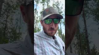 Y’all got to find better hiding places! #logging #tigercat #forestry #deer #hunting