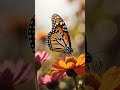 Why Butterflies’ Tongue Is a Nectar Magic Trick!, #DidYouKnow #FunFacts #NatureMagic