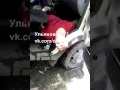 пьяный маршрутчик протаранил две машины Ульяновск