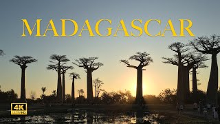 4K - Un Paradis retrouvé - Madagascar 2023