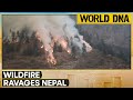 Nepal battles raging wildfires amidst intense heatwave | Wildfire engulfs forest near Kathmandu