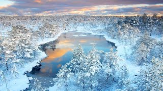 💨 Winter Storm Ambience with Icy Howling Wind Sounds for Sleeping, Relaxing and Studying Background.