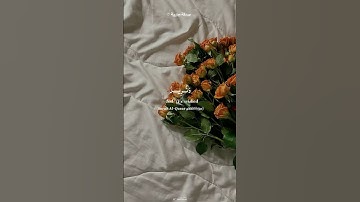 بسم الله على فلسطين ♡ | ﴿ونريد أن نمن على الذين إستضعفوا﴾ سورة القصص | محمد صديق المنشاوي