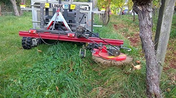 Video Phoenix Vineyard