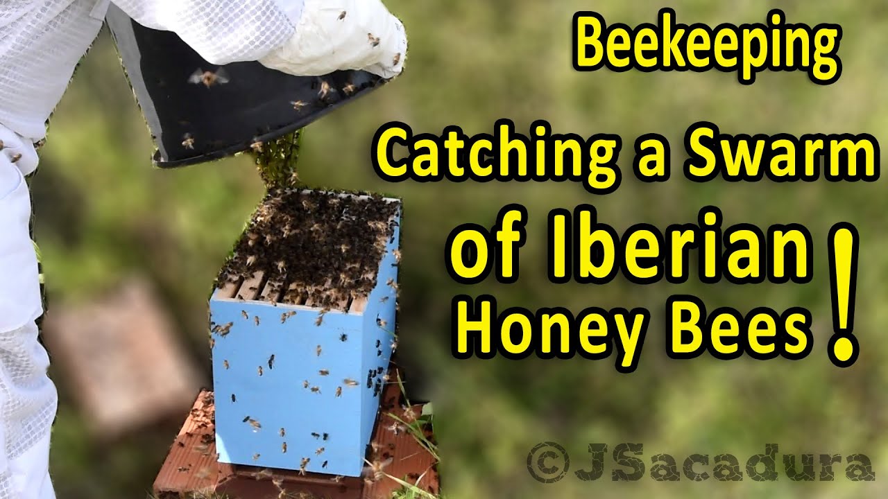 The Secrets of Beekeeping - Slow Food International