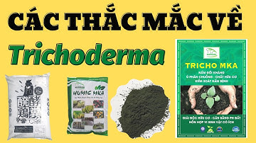 10 thắc mắc về sử dụng Trichoderma | Trico trộn phân bón, thuốc BVTV được không? | Trico Mekongagri