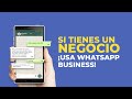 ▷ WHATSAPP BUSINESS: Organiza contactos y Programa mensajes automáticos para clientes y prospectos