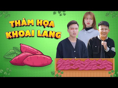 THẢM HỌA KHOAI LANG | Đại Học Du Ký Phần 266 | Phim Ngắn Hài Hước Sinh Viên Hay Nhất Gãy TV