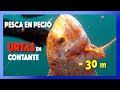 ✅🔝Pesca en Pecio - URTAS en constante