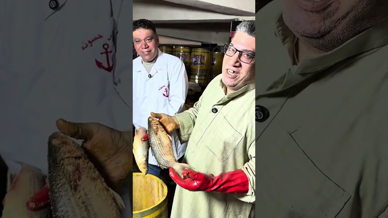 طريقه عمل الفسيخ من مصنع الفسيخ البحار حسونه