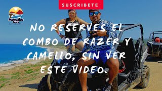 TOUR DE CAMELLOS  en LOS CABOS  es en combo de Razer y camellos