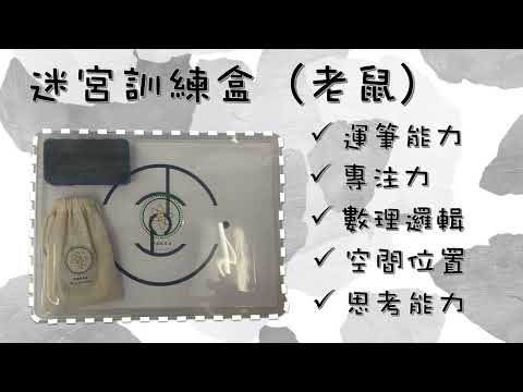 迷宮訓練盒（老鼠）