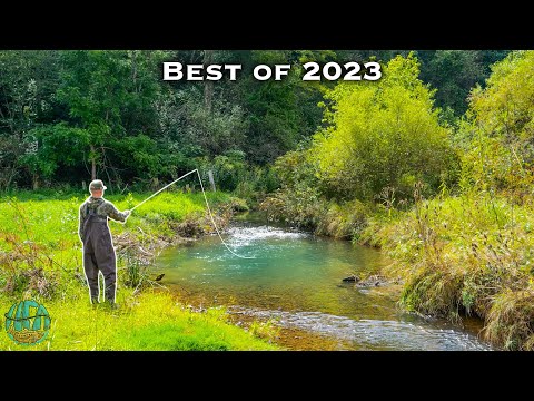 THE BEST FLY FISHING / TROUT FISHING VIDEO! (Best of Compilation - 2023) 