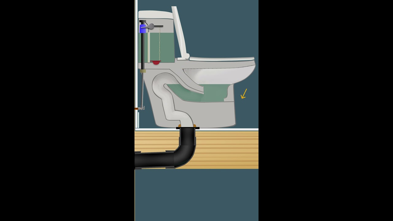 How A Toilet Works