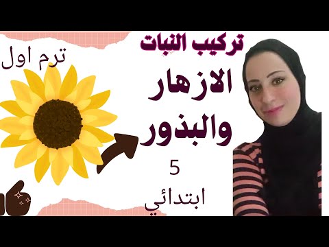 علوم خامسه ابتدائي ترم اول درس غذاء النبات الازهار والبذور انتشار البذور