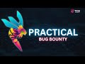 Practical bug bounty