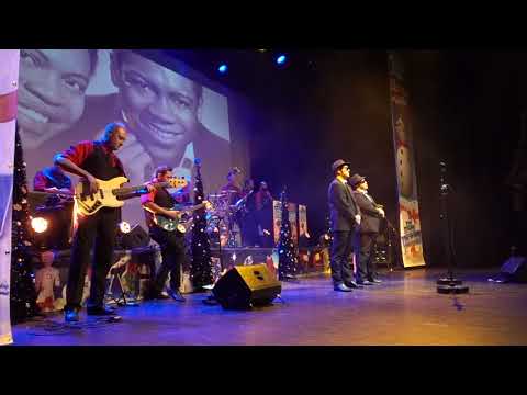 The Chicago Blues Brothers - Intro, Soul Man & Hold On