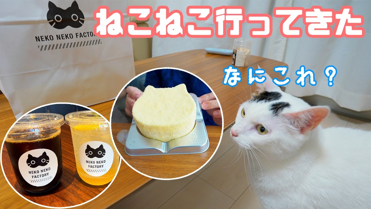 ねこねこファクトリーで美味しいものをたくさん発見しました