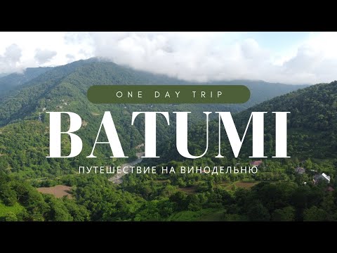 БАТУМИ 2023 | винодельня в Аджарии | путешествие одним днем из Батуми