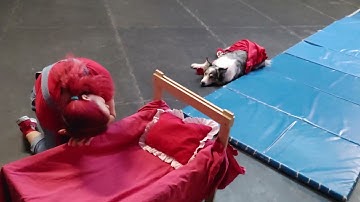 Dog Dancing freestyle - Crufts practice - day 10