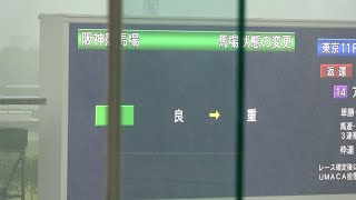 現地 本馬場入場】2026 G1 宝塚記念 ザ・チャンピオン 突然の豪雨で良