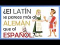 Si el ALEMÁN y el LATÍN tienen declinaciones, y el ESPAÑOL no...